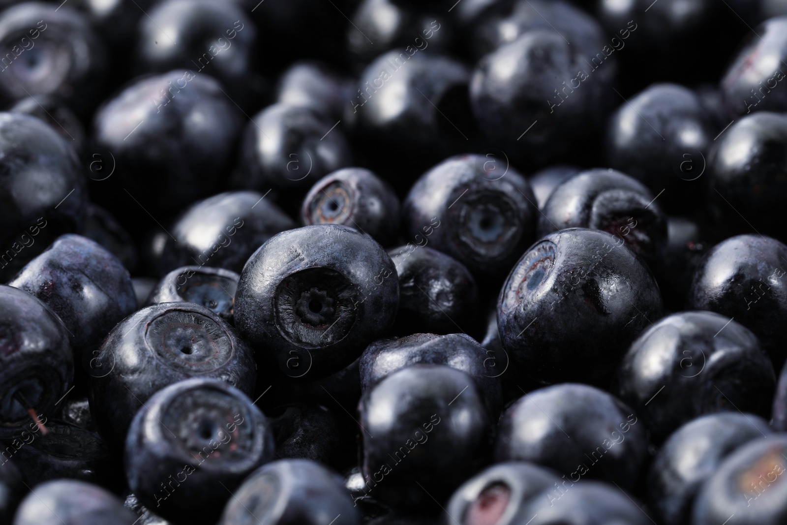 Photo of Many delicious ripe bilberries as background, closeup