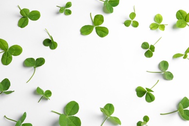 Green clover leaves on white background, flat lay composition with space for text