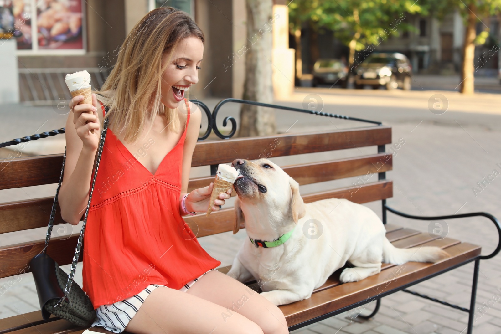 Photo of Owner treating her yellow labrador retriever with ice-cream outdoors