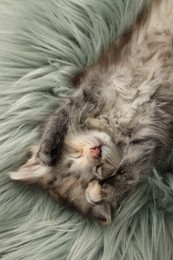 Photo of Cute kitten sleeping on fuzzy rug, top view