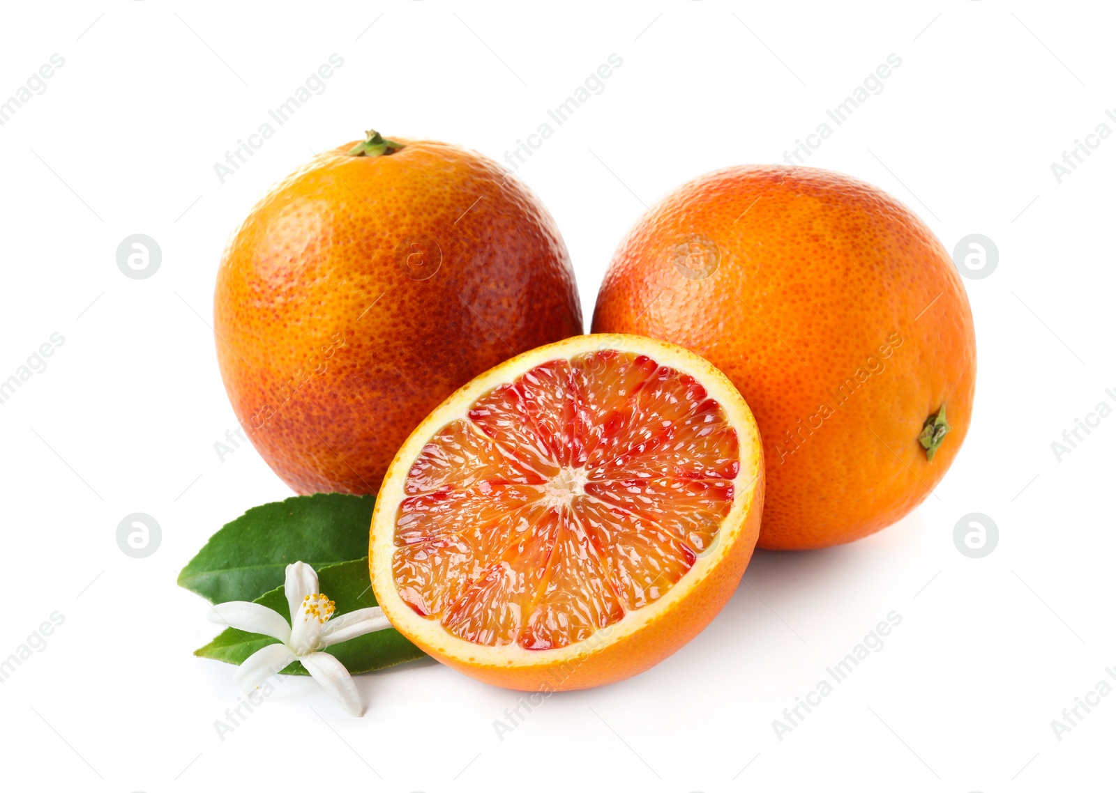 Photo of Ripe blood oranges, leaves and flower on white background. Citrus fruit