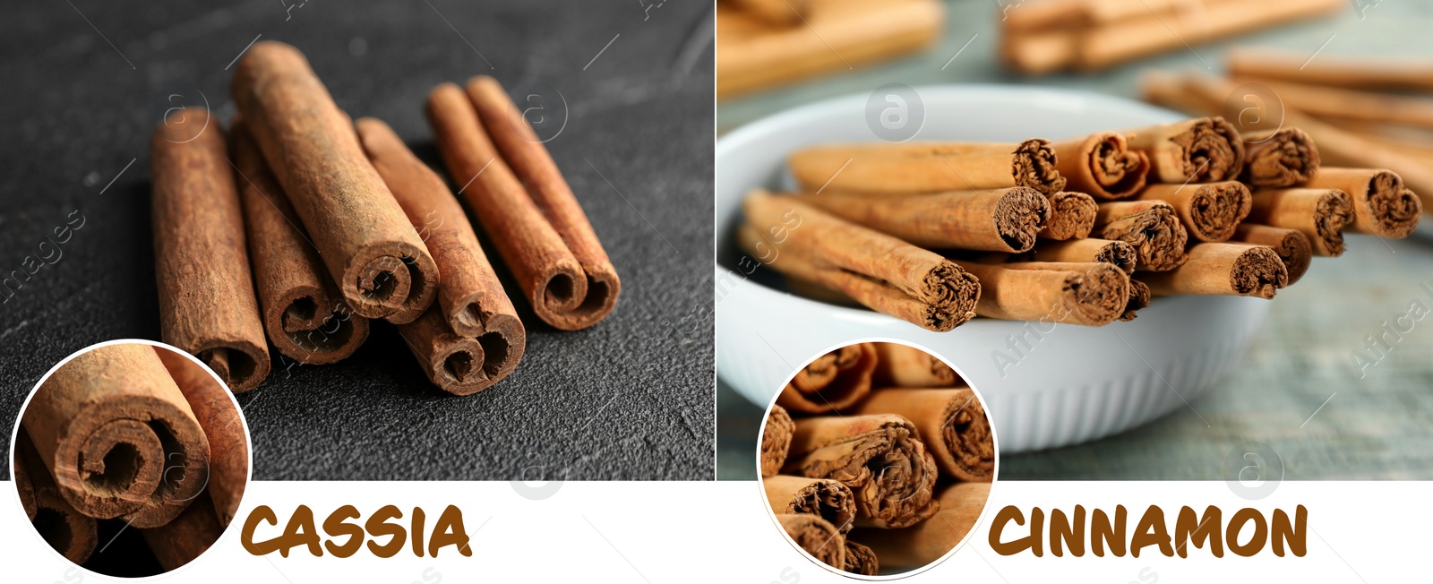 Image of Collage with photos of cassia and ceylon cinnamon sticks. Banner design