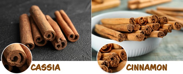 Image of Collage with photos of cassia and ceylon cinnamon sticks. Banner design