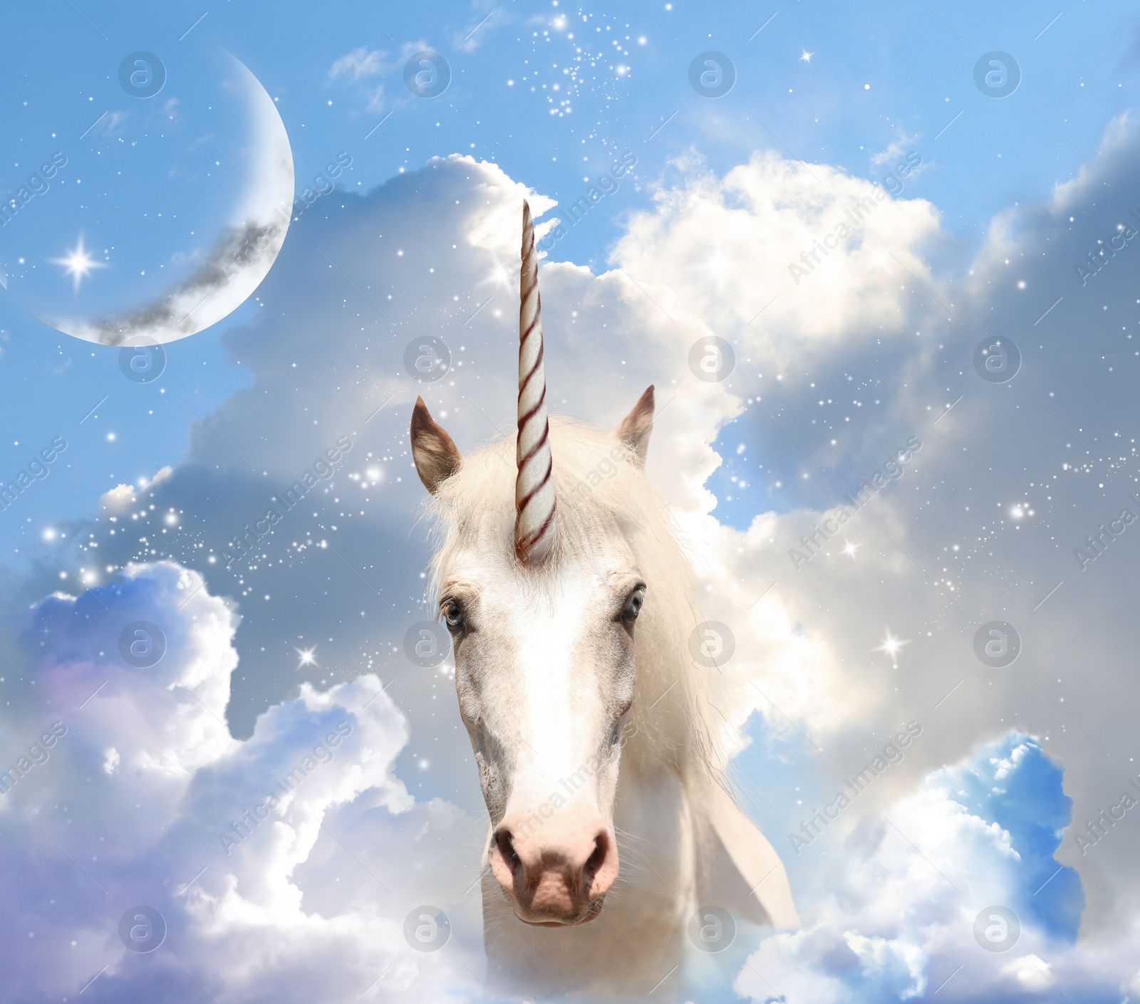 Image of Magic unicorn in fantastic sky with fluffy clouds and crescent 