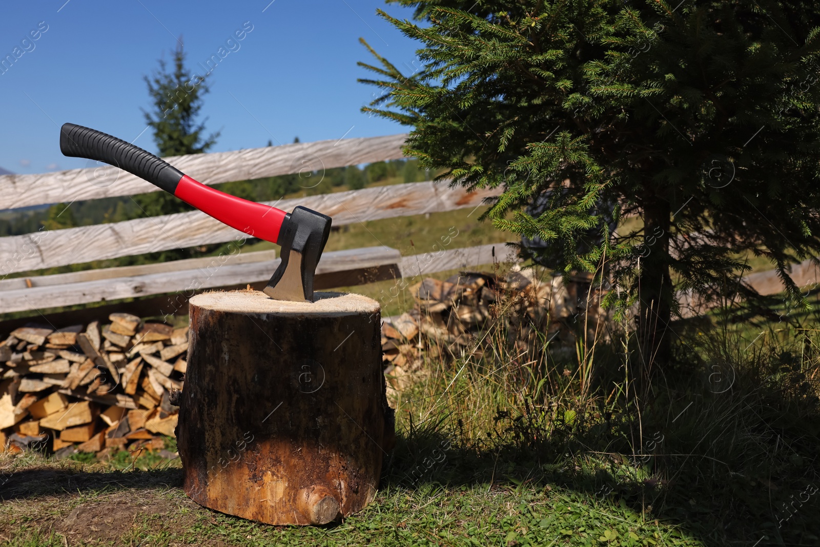 Photo of Tree stump with axe and cut firewood outdoors, space for text