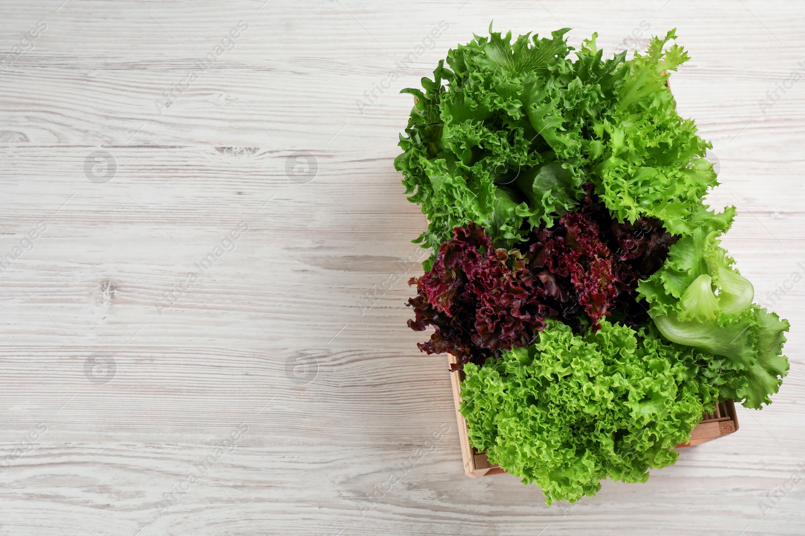 Photo of Crate with different sorts of lettuce on white wooden table, top view. Space for text