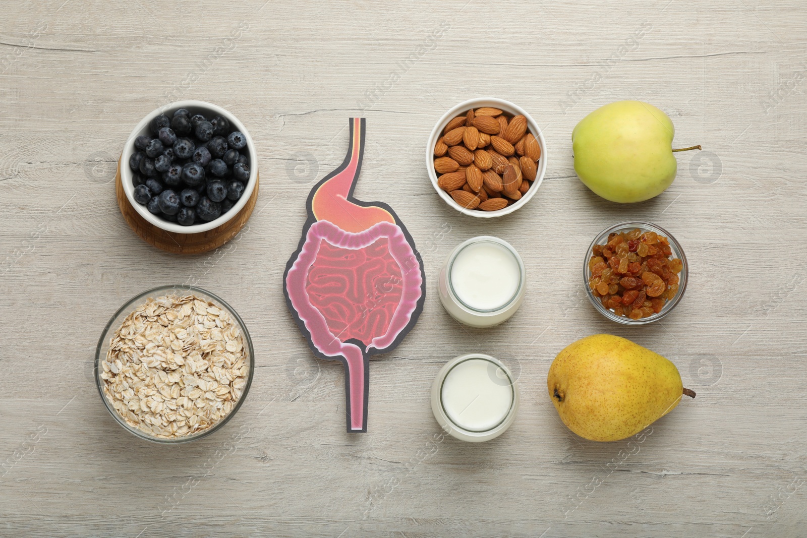 Photo of Layout of gastrointestinal tract model and products to help digestion on wooden table, top view