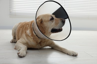 Cute Labrador Retriever with protective cone collar on floor indoors