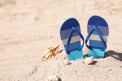 Stylish flip flops and seashells on sand, space for text