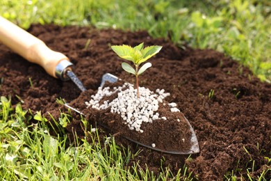 Photo of Shovel with soil, fertilizer and seedling outdoors, closeup