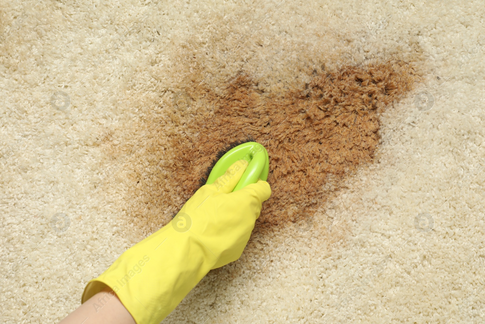 Photo of Woman removing stain from beige carpet, top view