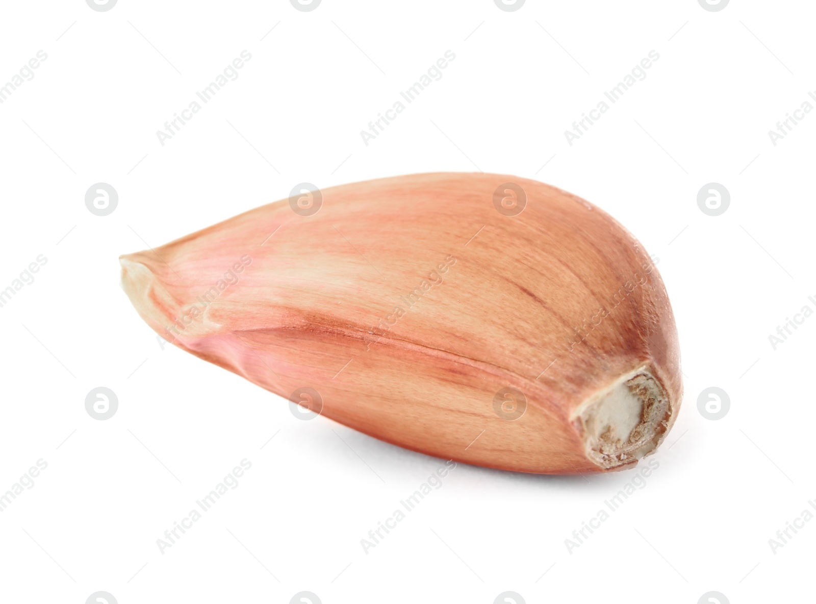 Photo of Fresh unpeeled garlic clove on white background