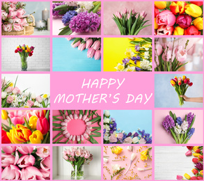 Image of Collage with photos of beautiful flowers and text Happy Mother's Day