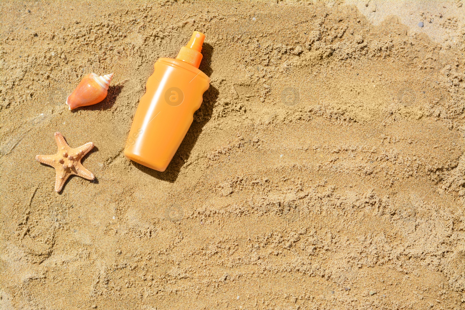 Photo of Blank bottle of sunscreen, starfish and seashell on sand, flat lay. Space for text