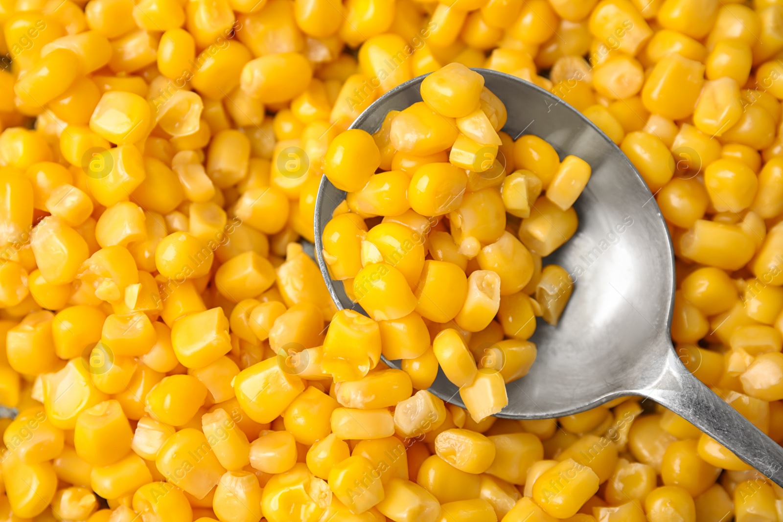 Photo of Ripe corn kernels with spoon as background, top view