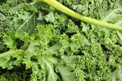 Photo of Fresh green kale leaves as background, closeup