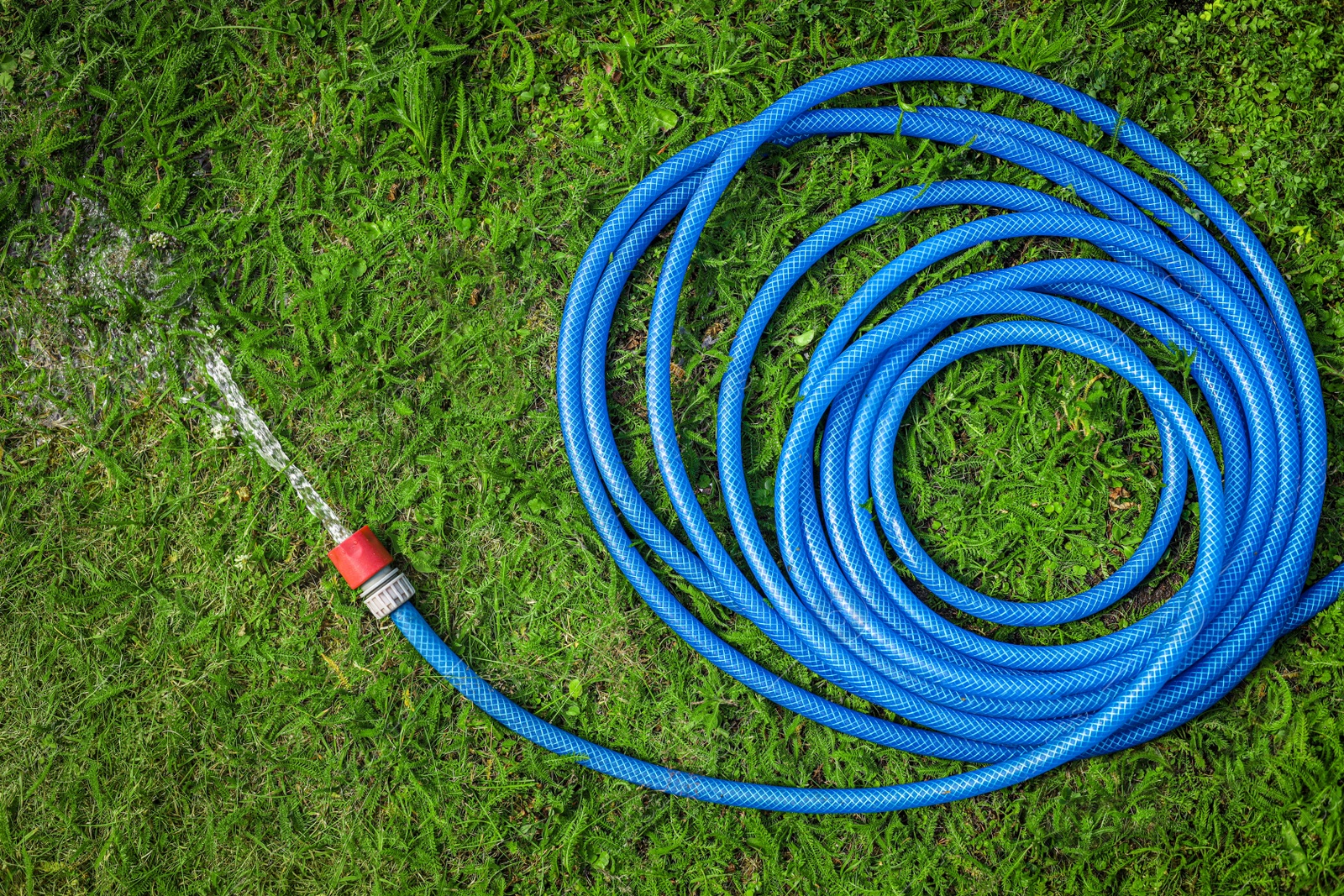 Photo of Water flowing from hose on green grass outdoors, top view