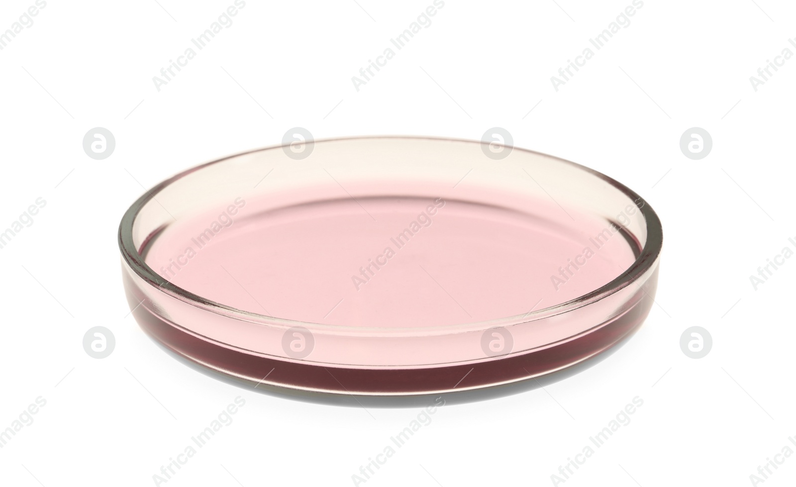 Photo of Petri dish with pink liquid isolated on white