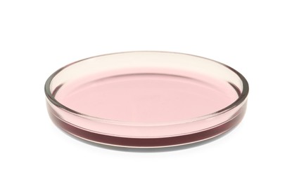 Photo of Petri dish with pink liquid isolated on white