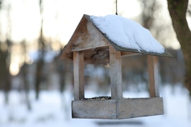 Photo of Wooden birdhouse hanging in park, closeup. Space for text