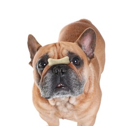 Adorable dog with bone shaped cookie on nose against white background