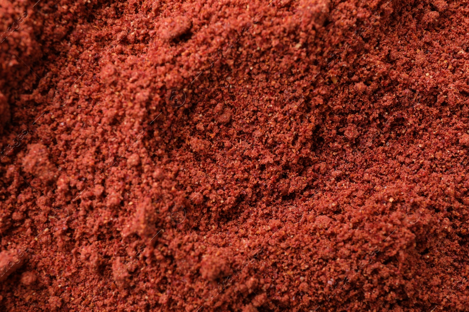 Photo of Bright cranberry powder as background, top view