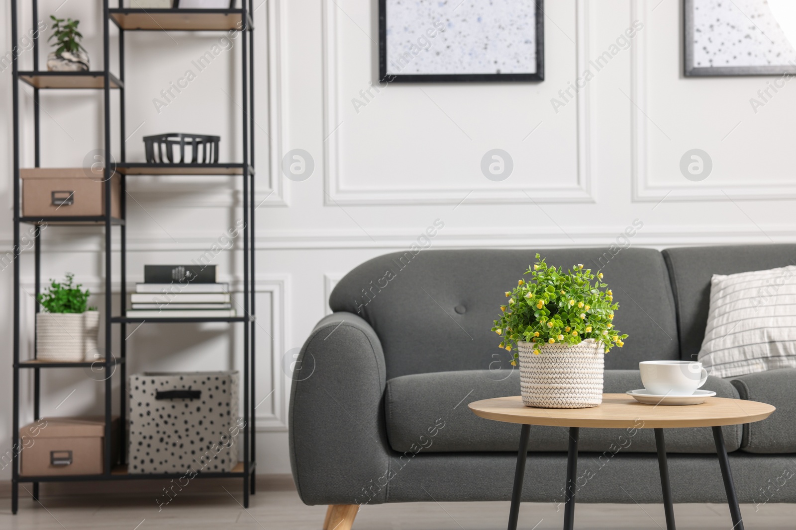 Photo of Stylish room interior with potted artificial plants, coffee table and sofa
