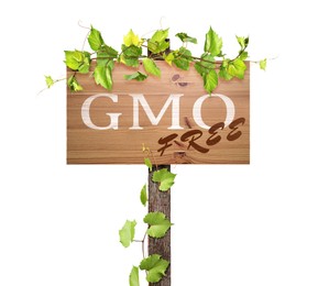 Image of Wooden sign with phrase GMO free and green leaves on white background
