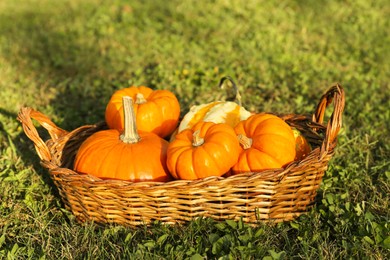 Photo of Fresh ripe orange pumpkins on green grass