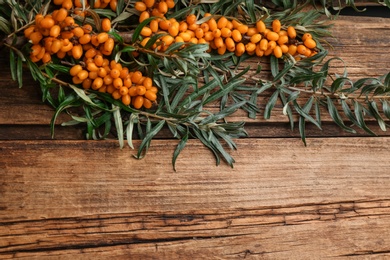 Photo of Branches of sea buckthorn on wooden table, flat lay. Space for text