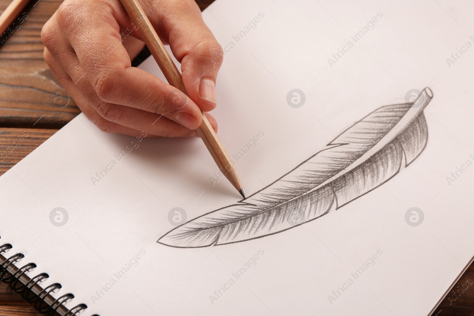 Photo of Woman drawing feather with graphite pencil in sketchbook at wooden table, closeup