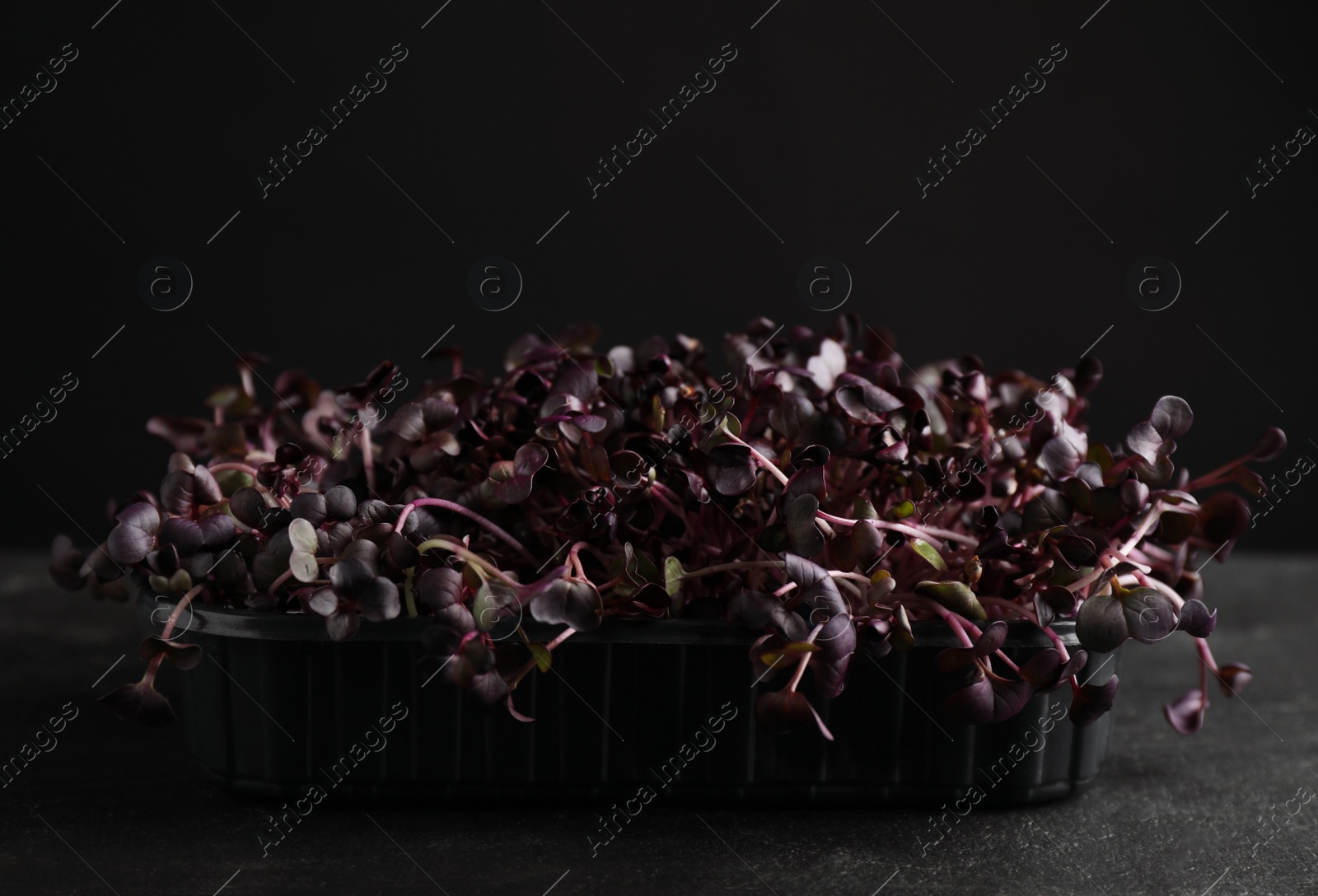 Photo of Fresh radish microgreens on dark grey table, closeup