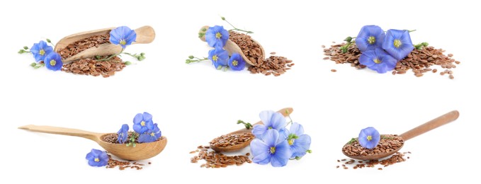 Set with flax seeds and flowers on white background. Banner design