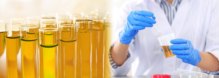 Image of Scientist doing research and analysis in chemical laboratory, closeup. Banner design  