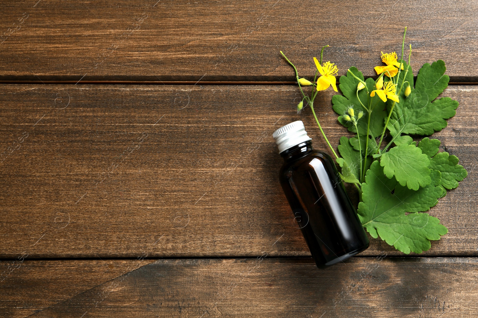 Photo of Bottle of celandine tincture and plant on wooden table, flat lay. Space for text
