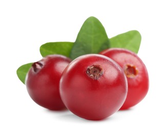 Fresh ripe cranberries with leaves isolated on white