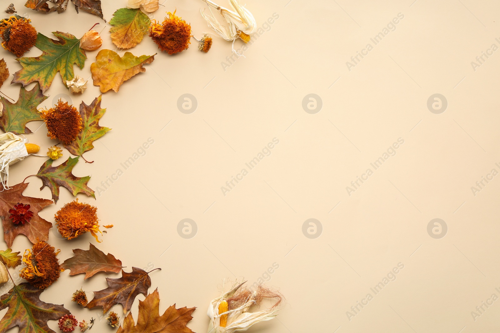 Photo of Flat lay composition with dry autumn leaves on beige background, space for text