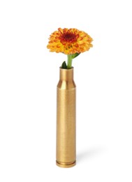 Photo of Beautiful flower in bullet case isolated on white