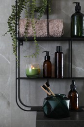 Photo of Different toiletries and green plant on shelving unit in bathroom. Interior design