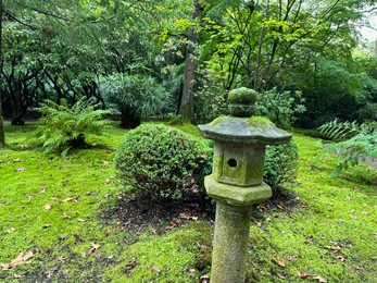 Photo of Stone lantern, bright moss and different plants in Japanese garden
