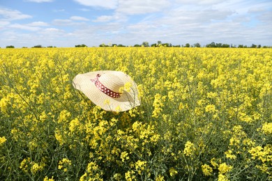 Field with beautiful blooming rapeseed flowers and hat under blue sky