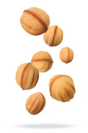 Many delicious nut shaped cookies with caramelized condensed milk falling on white background