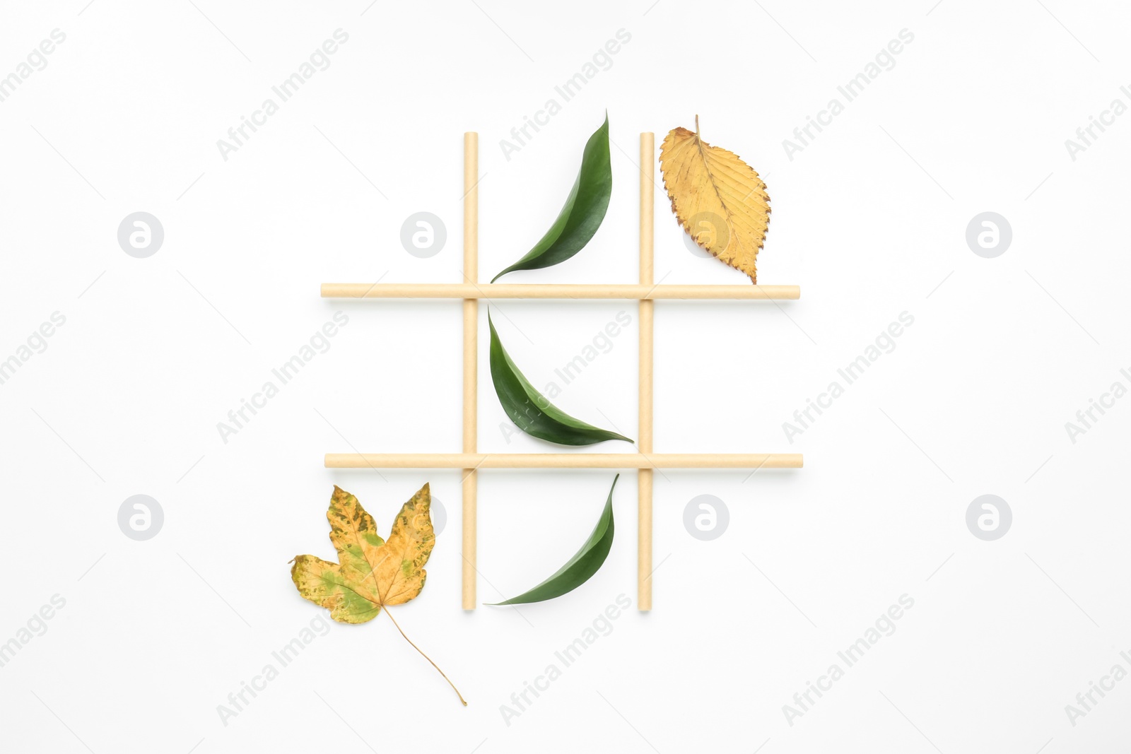 Photo of Tic tac toe game made with fresh and dry leaves on white background, top view