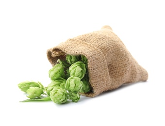 Photo of Sackcloth bag with fresh green hops on white background. Beer production