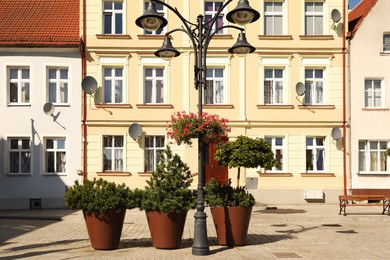 Photo of Street lamp with beautiful blooming flowers and green plants in front of buildings outdoors