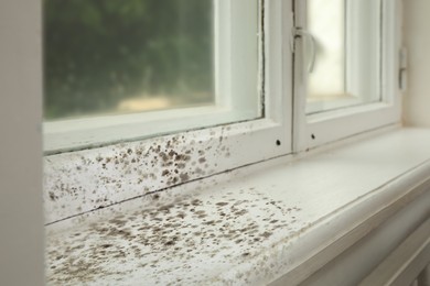 Window and sill affected with mold in room