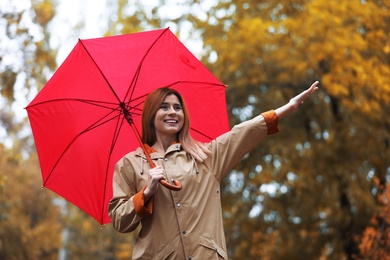 Woman with umbrella in autumn park on rainy day