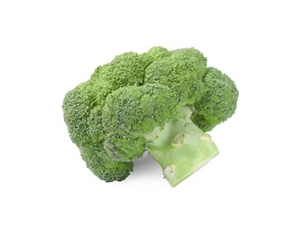 Fresh raw green broccoli isolated on white