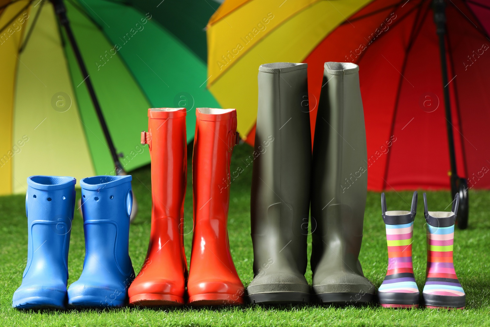 Photo of Rainboots for all family members on green grass