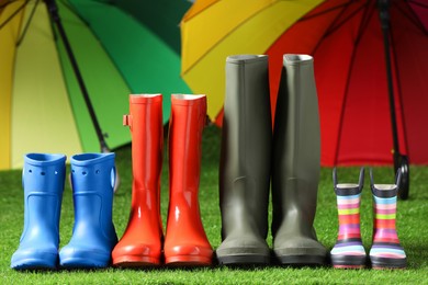 Photo of Rainboots for all family members on green grass